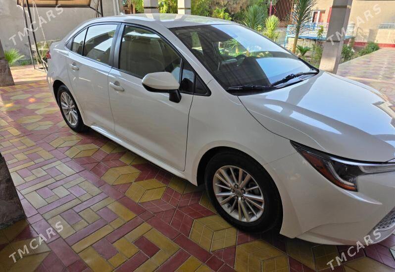 Toyota Corolla 2019 - 250 000 TMT - Hazar - img 2