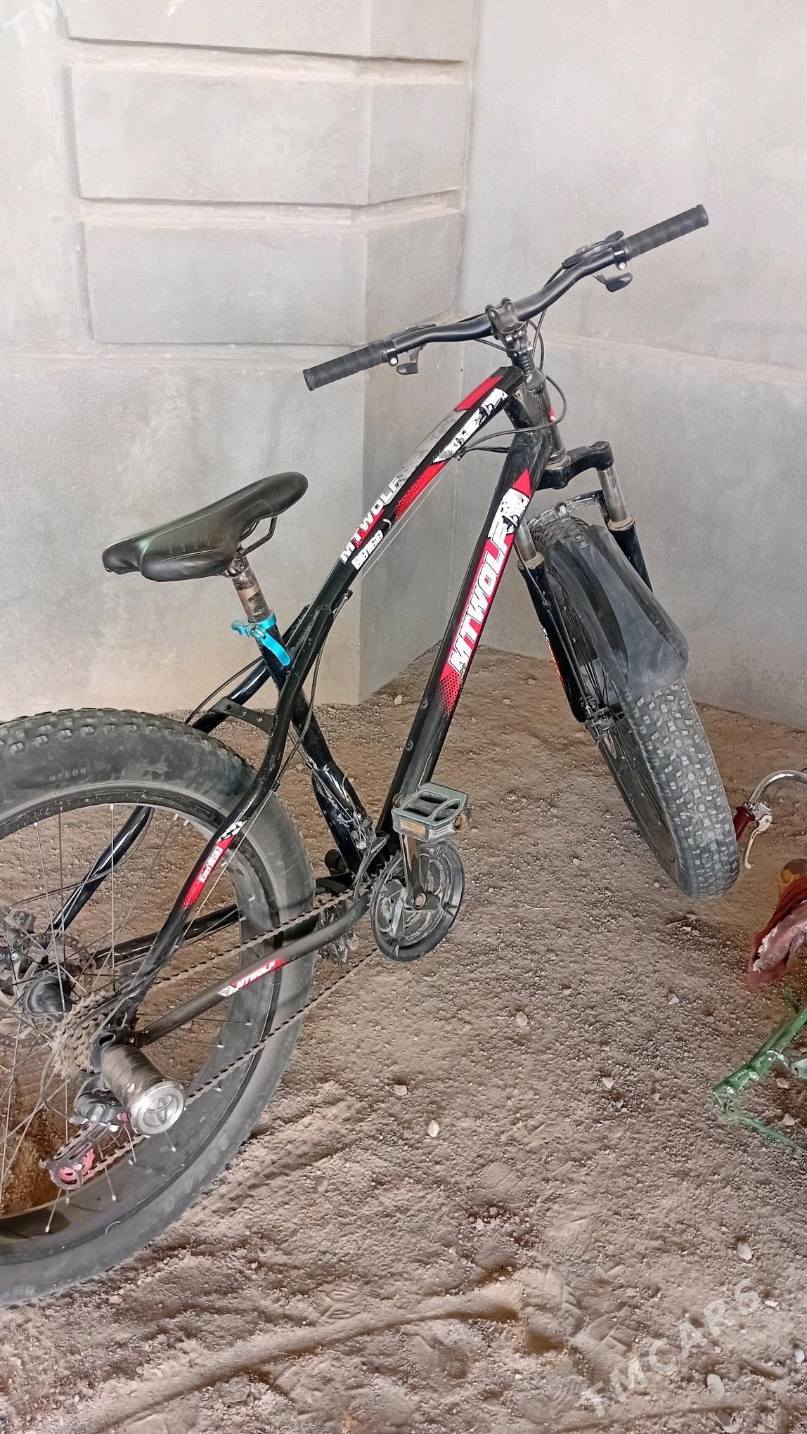 Welseped - Mary - img 1