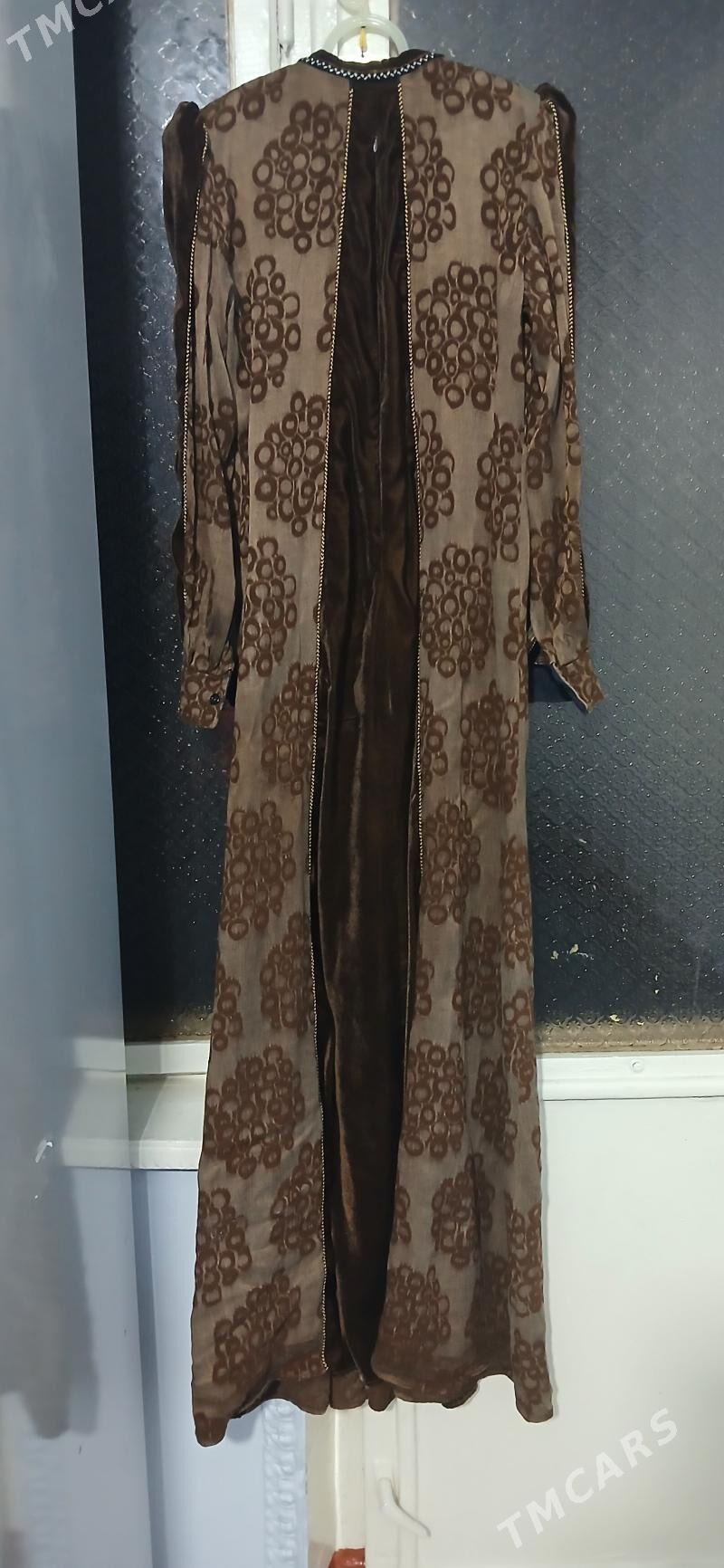 gülyüpek balgar garylan - Mary - img 3