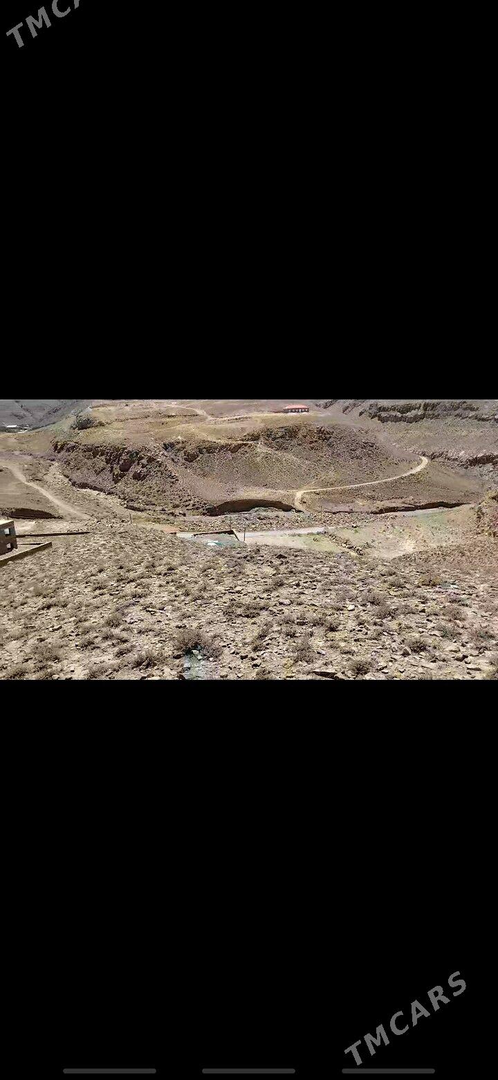 NOHUR OBA - Bäherden - img 5