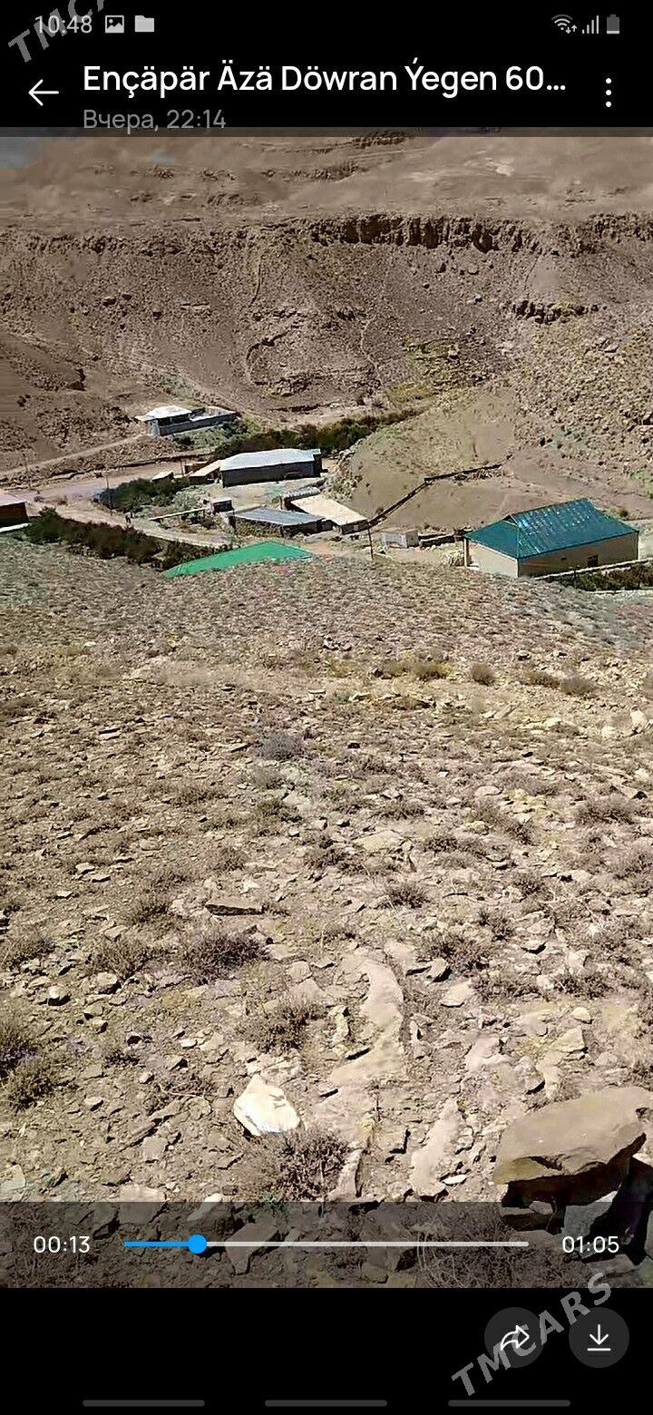 NOHUR OBA - Bäherden - img 3