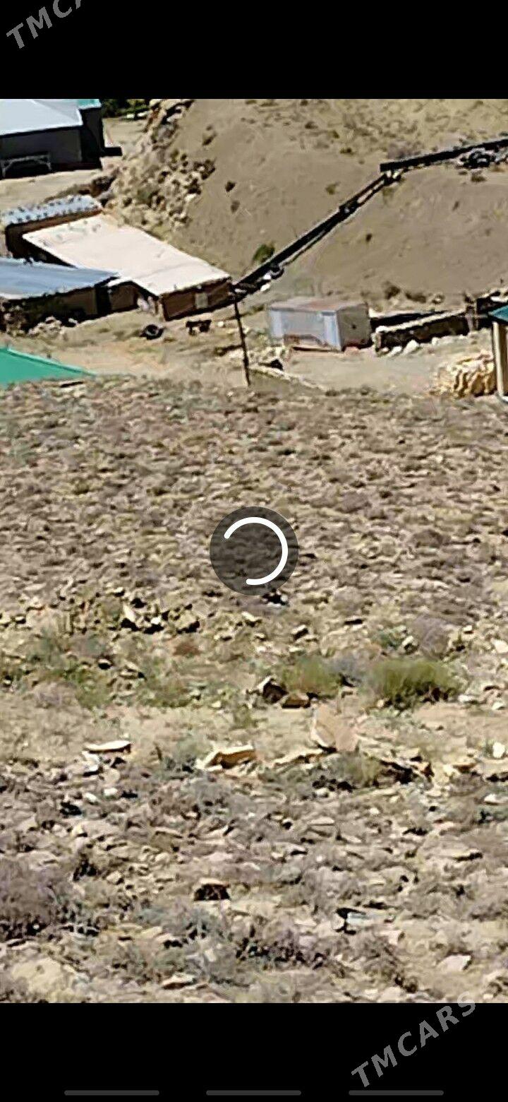 NOHUR OBA - Bäherden - img 4