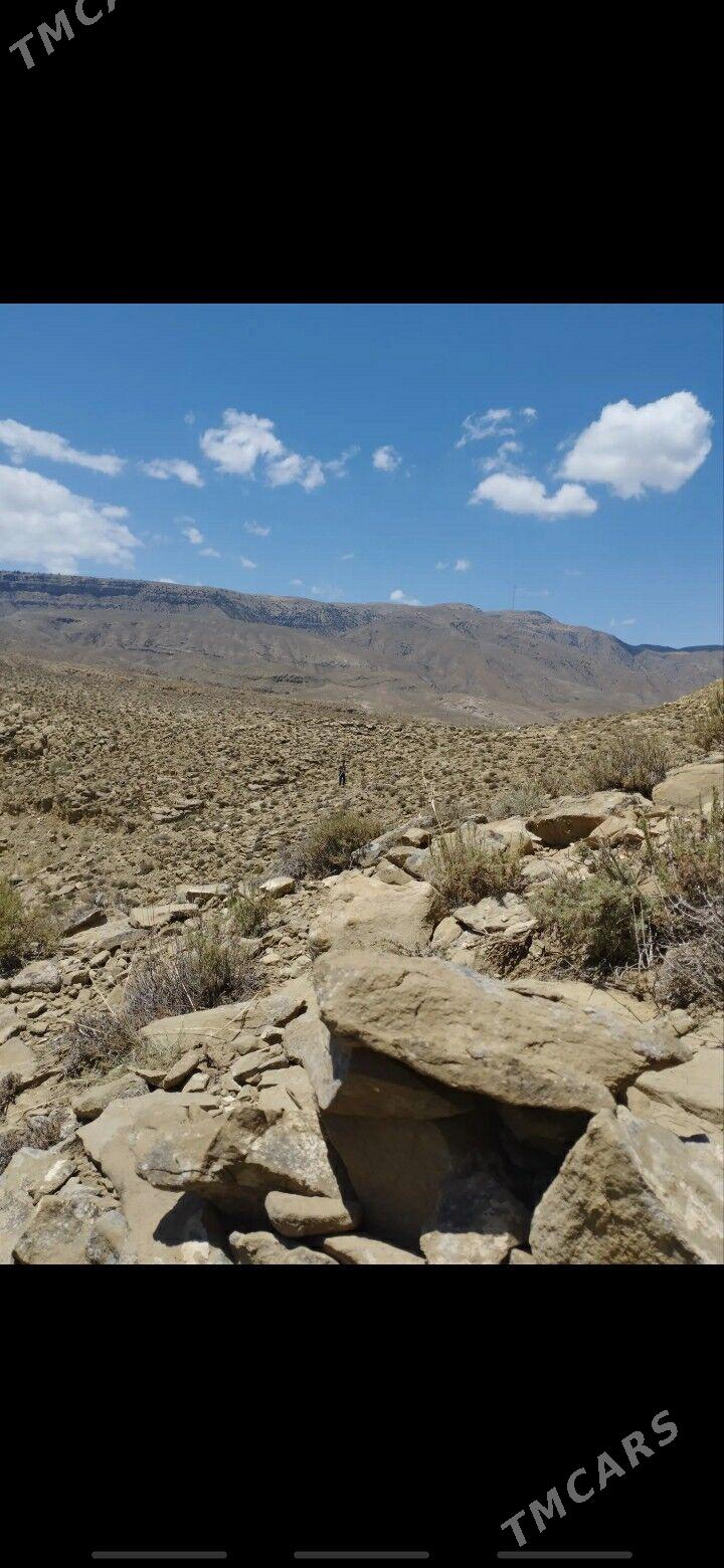 NOHUR OBA - Bäherden - img 6