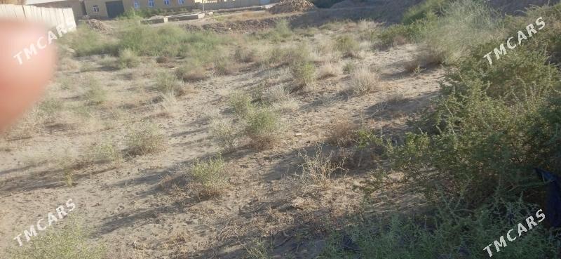 меллек - Farap - img 4