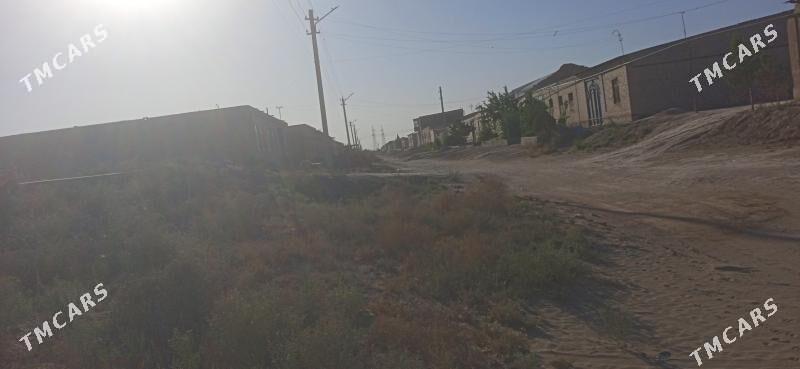 меллек - Farap - img 2