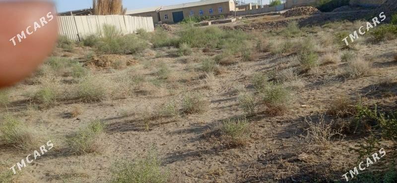 меллек - Farap - img 1