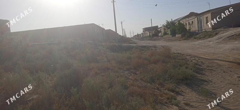 меллек - Farap - img 3