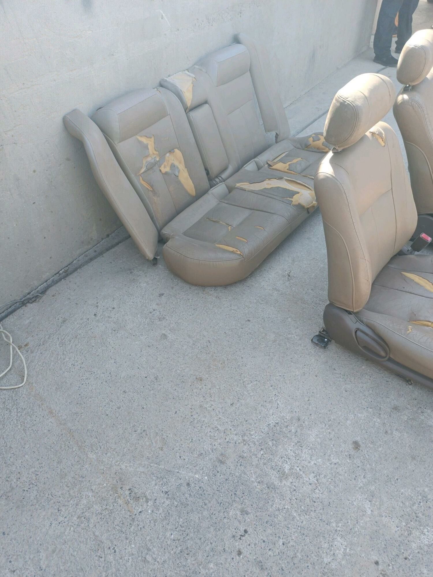 Camry sidenya 2 000 TMT - Sakarçäge - img 2