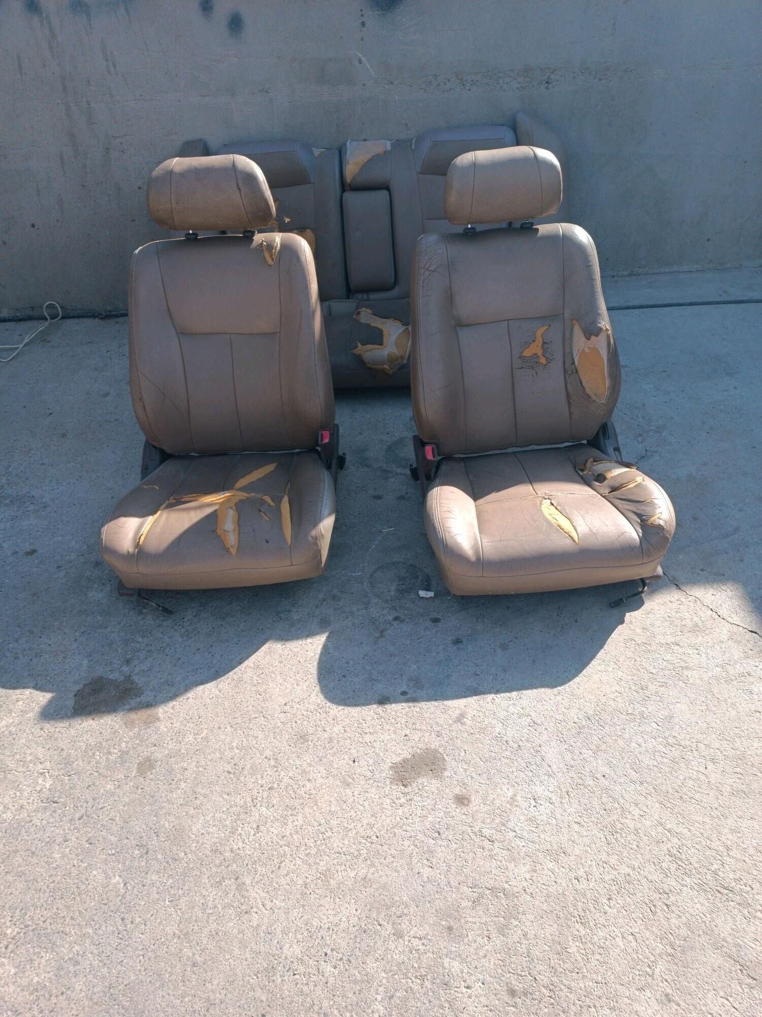 Camry sidenya 2 000 TMT - Sakarçäge - img 1