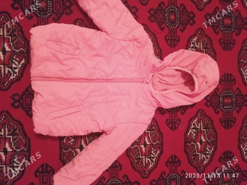 kurtga - Daşoguz - img 2