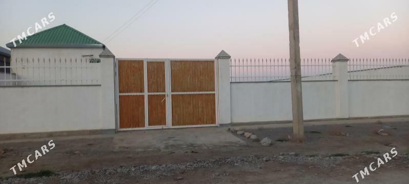 Gawers jaý - Ak bugdaý etraby - img 1