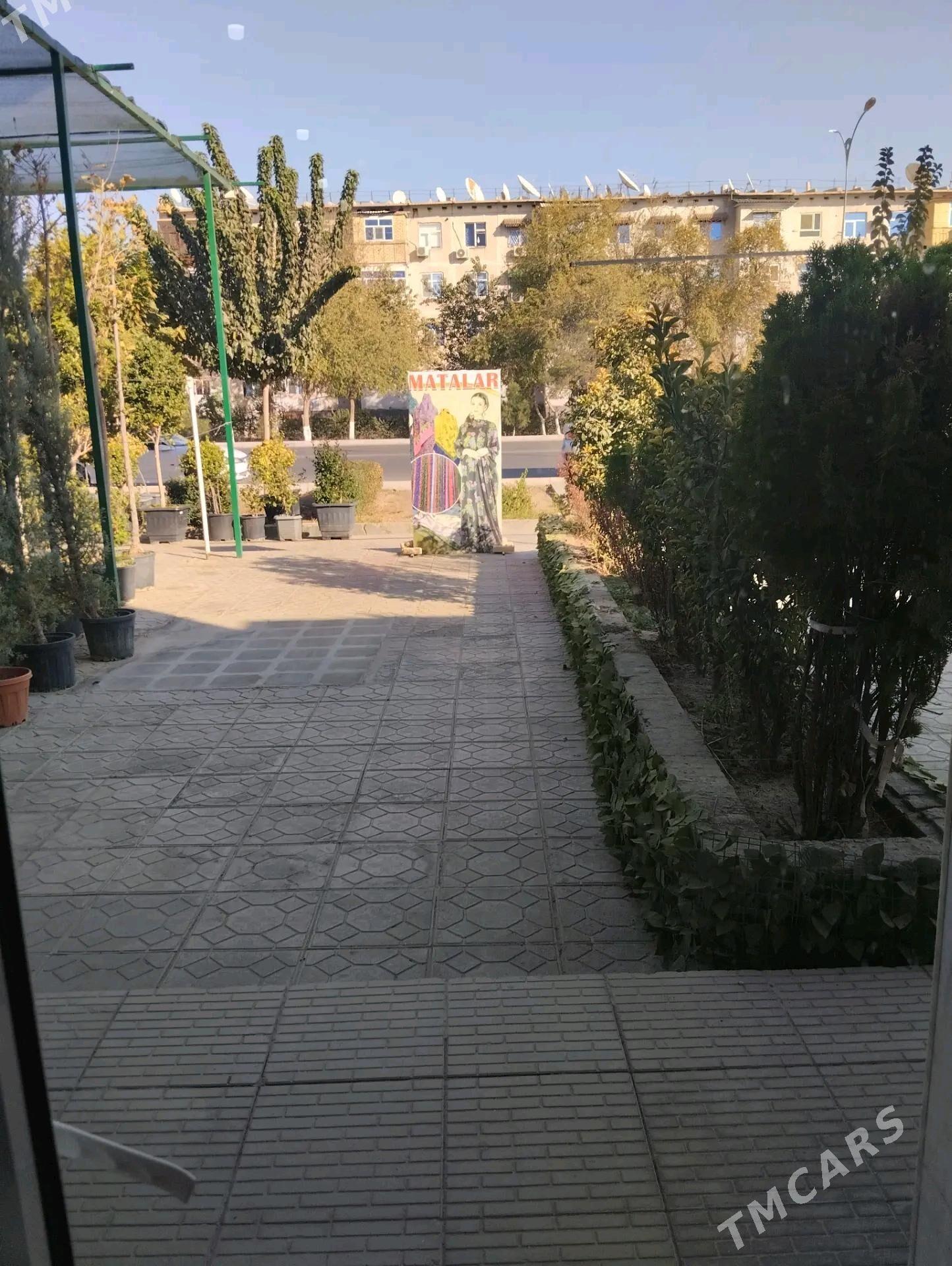 Arendasyna yer - Мары - img 1