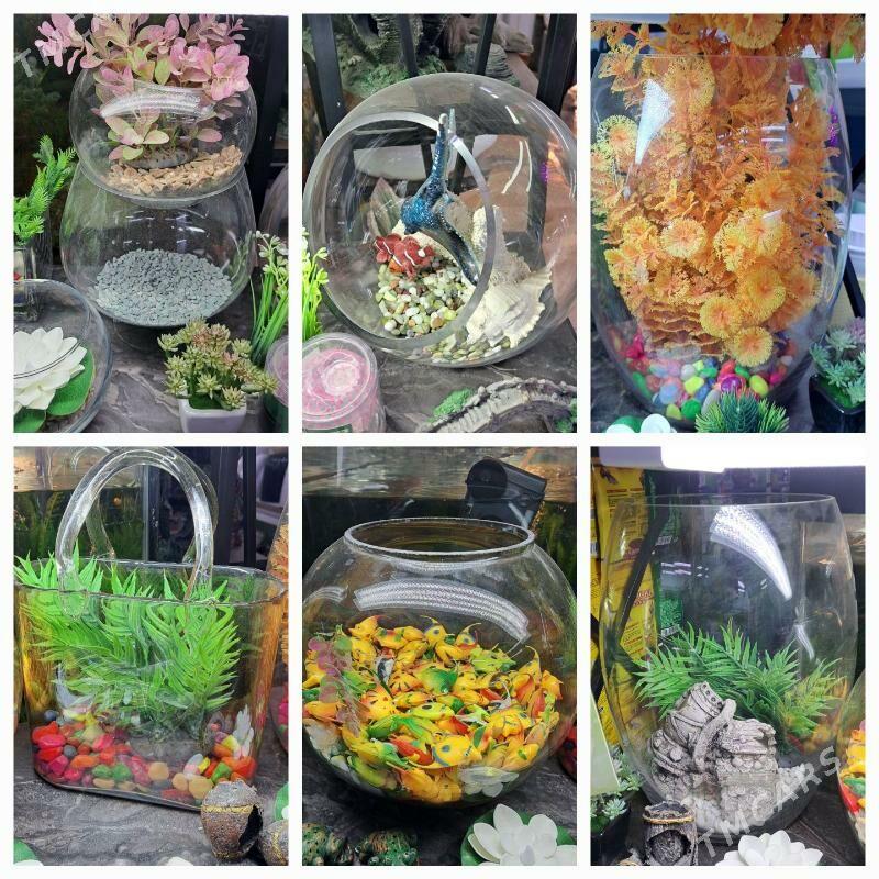 мини аквариумы - Aşgabat - img 2