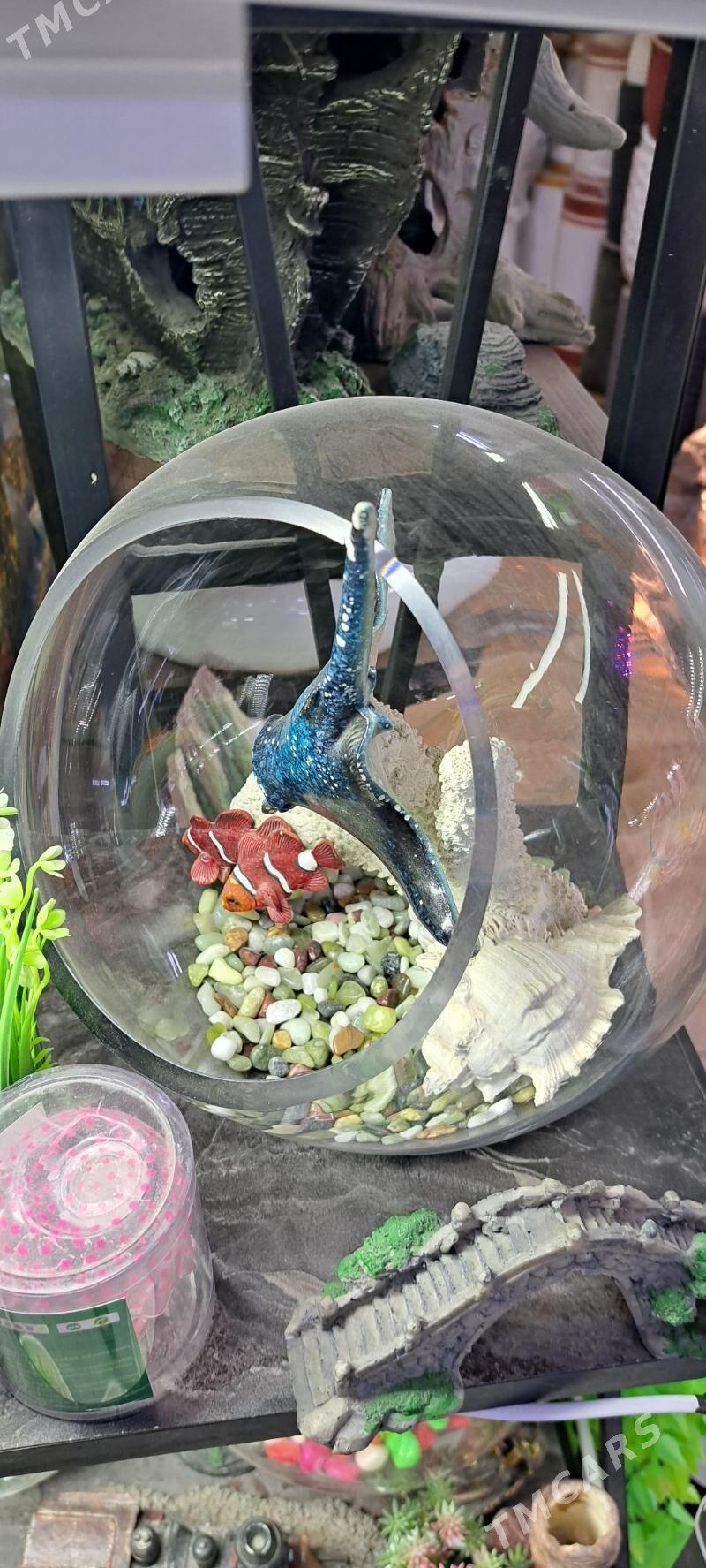 мини аквариумы - Aşgabat - img 7