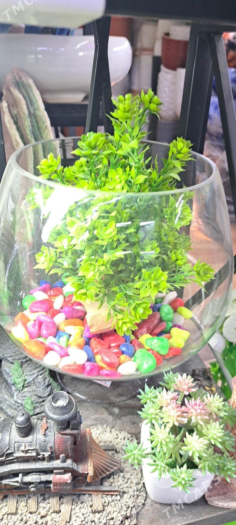 мини аквариумы - Aşgabat - img 5