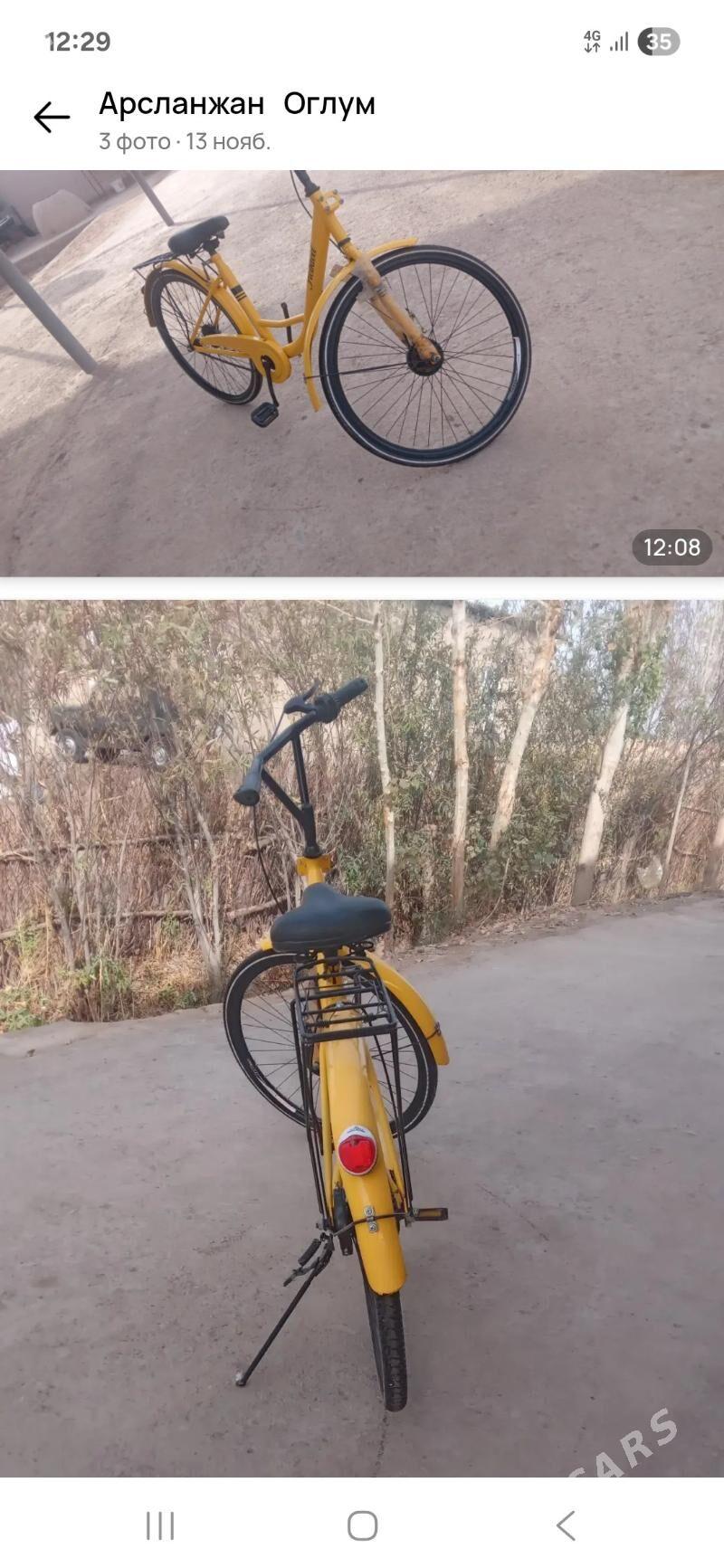 Tigir  bez  kamer - Gubadag - img 2