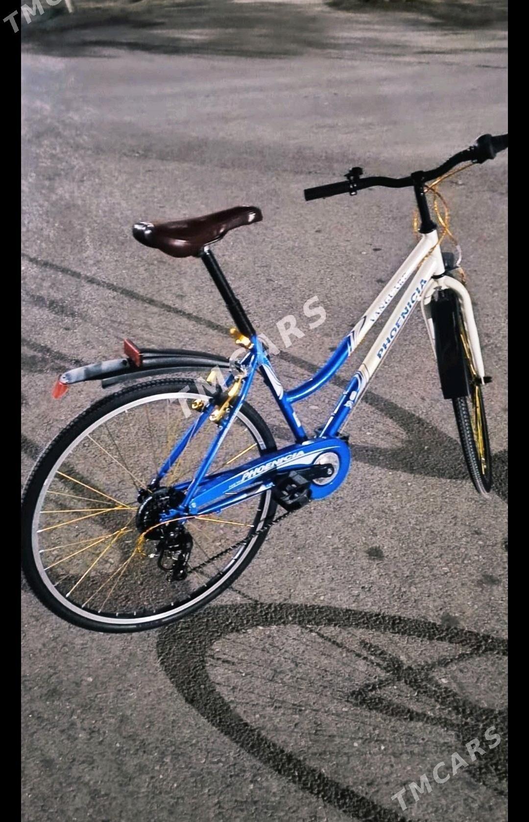 Tigir - BEJERYAN. - Büzmeýin GRES - img 2