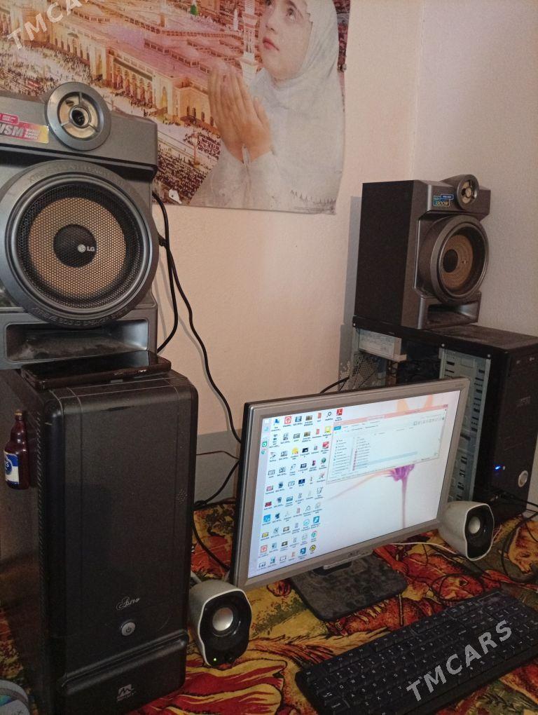 damashny kampitor - Койтендаг - img 3