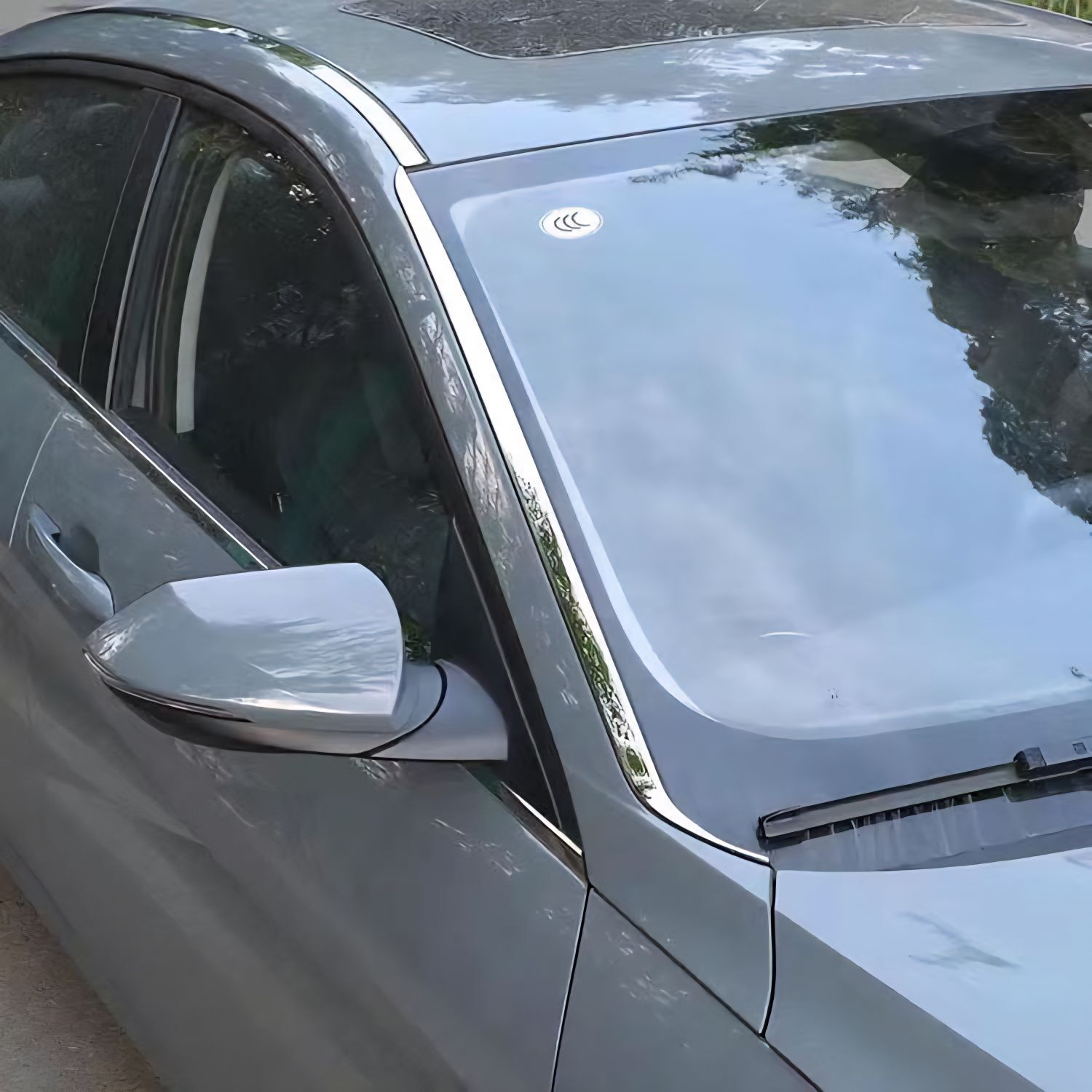 Elantra Nikel Bezegler - Hitrowka - img 4