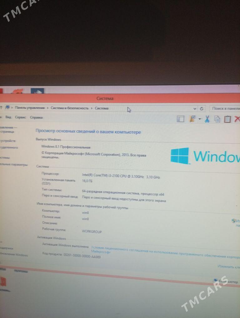 damashny kampitor - Койтендаг - img 4