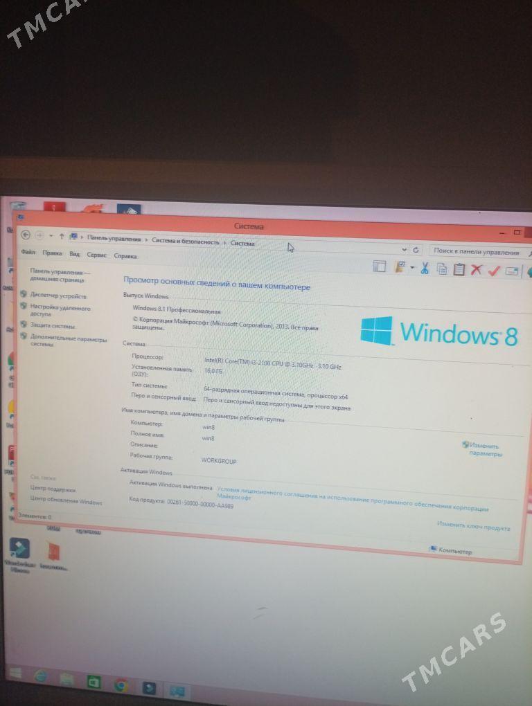 damashny kampitor - Койтендаг - img 5