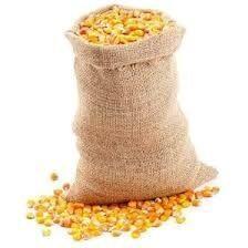 Iým üwäp berýän - Çoganly - img 2