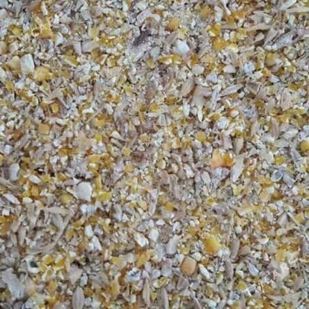 Iým üwäp berýän - Çoganly - img 5