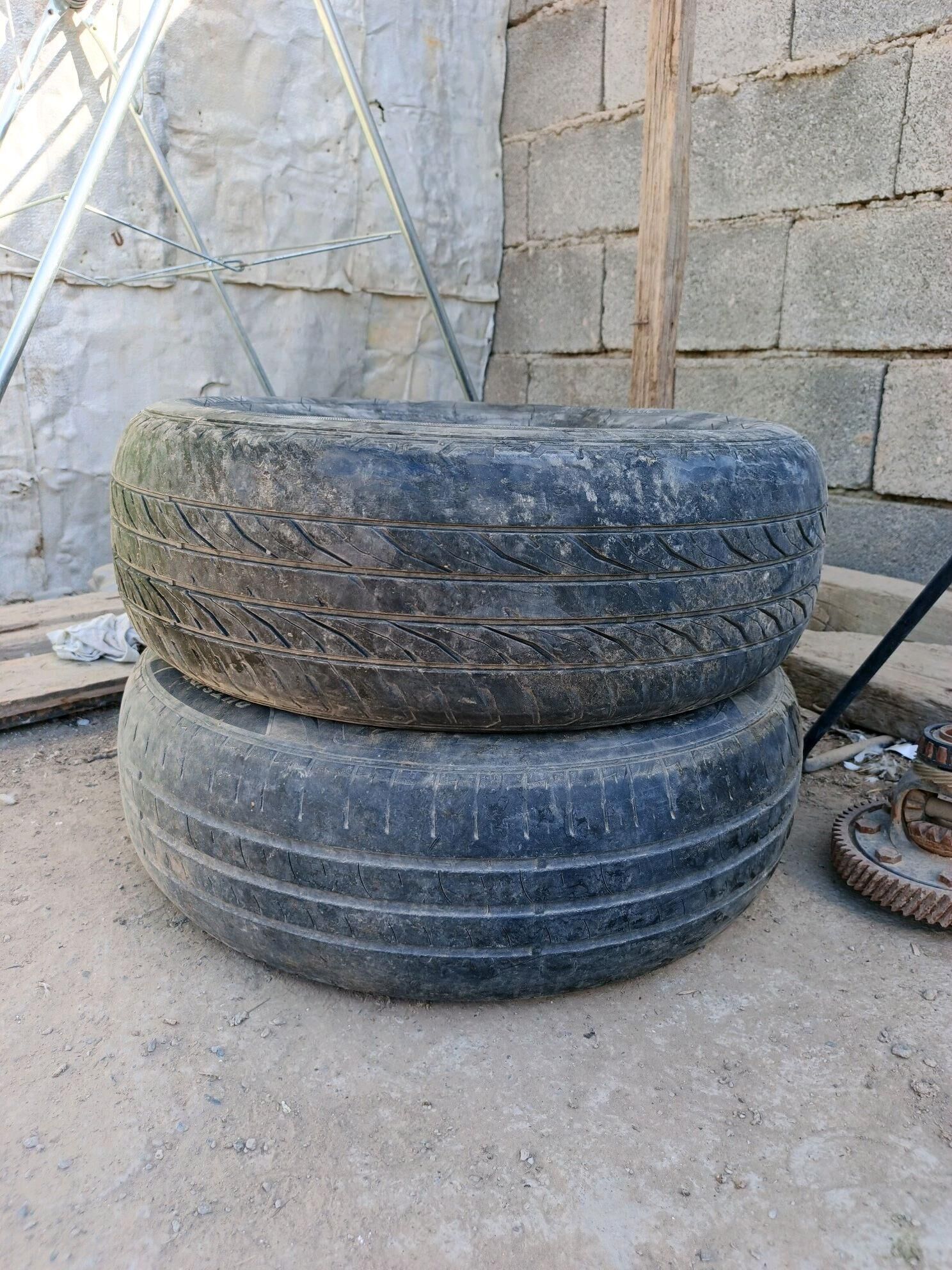 teker14 lik 100 TMT - Багир - img 1