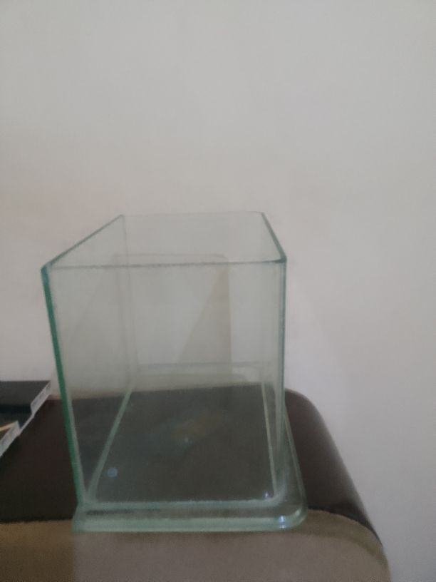 ОТКРЫТКИ,АКВАРИУМ. . - Ашхабад - img 3