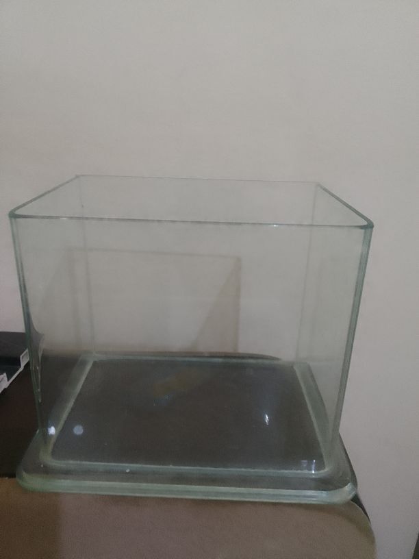 ОТКРЫТКИ,АКВАРИУМ. . - Ашхабад - img 4