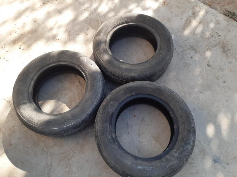 ANNAITE 500 TMT - Gökje - img 3