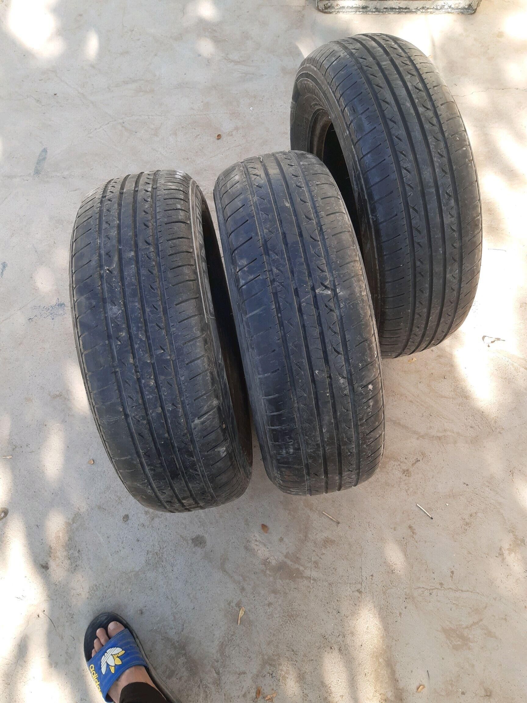 ANNAITE 500 TMT - Gökje - img 2