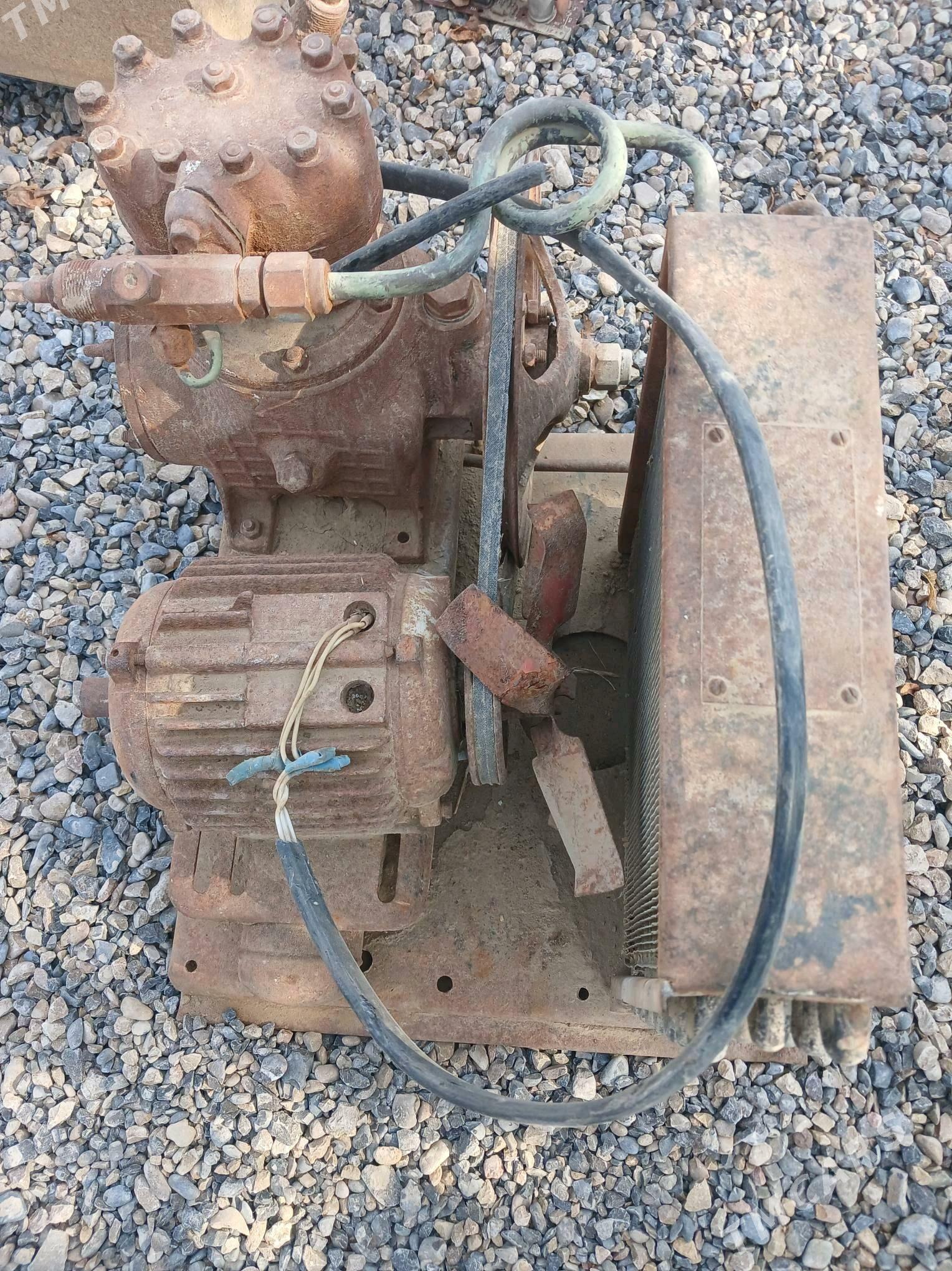 agirgat - Mary - img 2