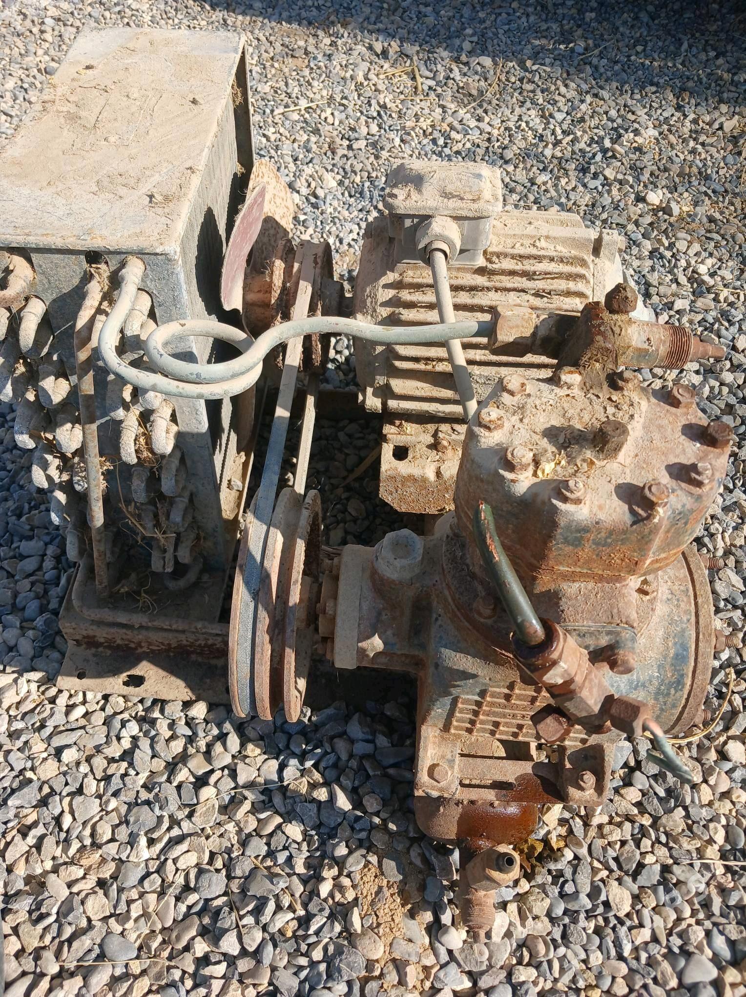 agirgat - Mary - img 4