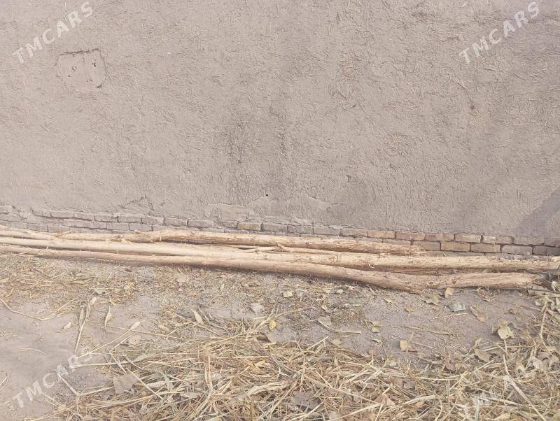 Agac - Шабатский этрап - img 1