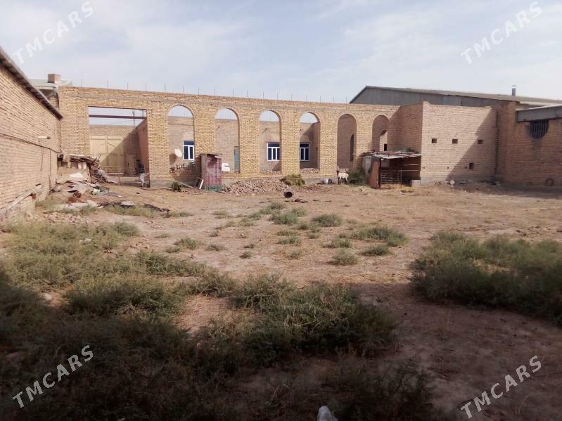 mellek jay - Туркменабат - img 4