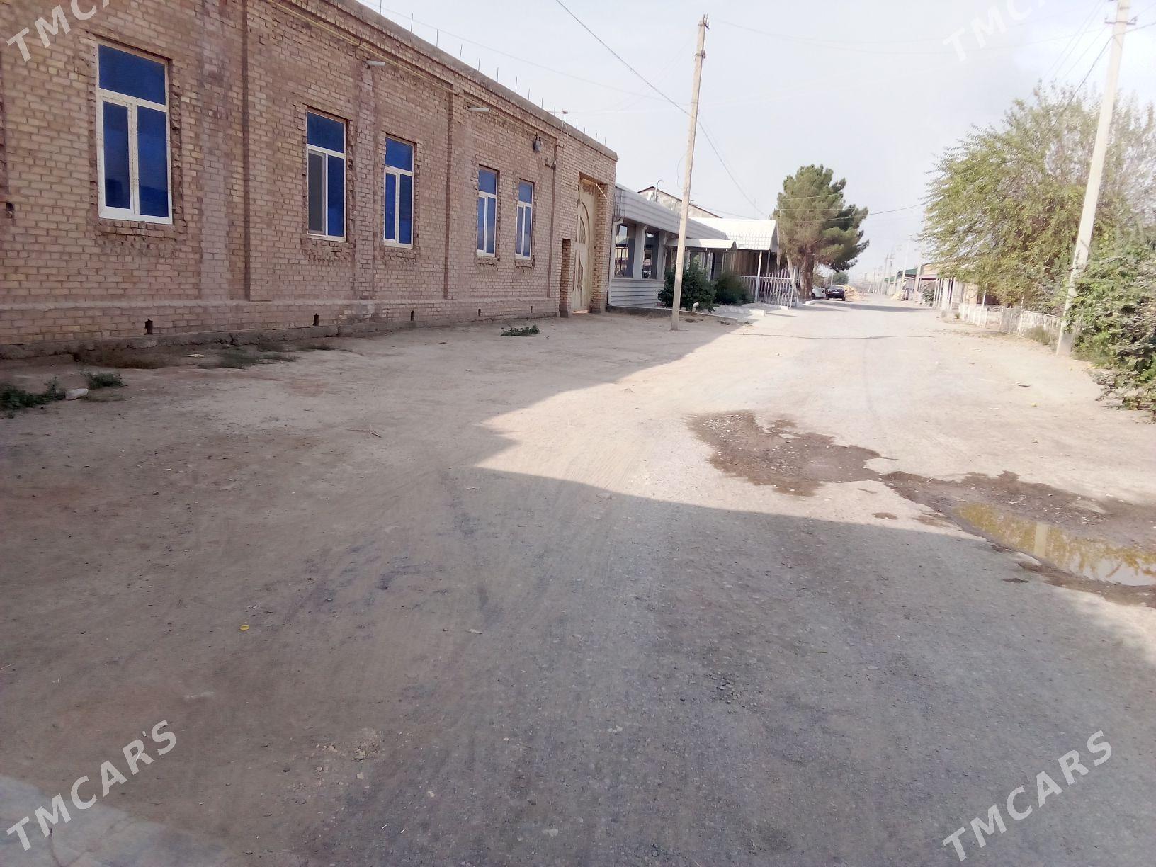 mellek jay - Туркменабат - img 2