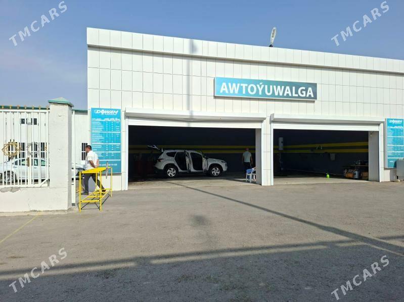 Arenda moyka - Bedew - img 2