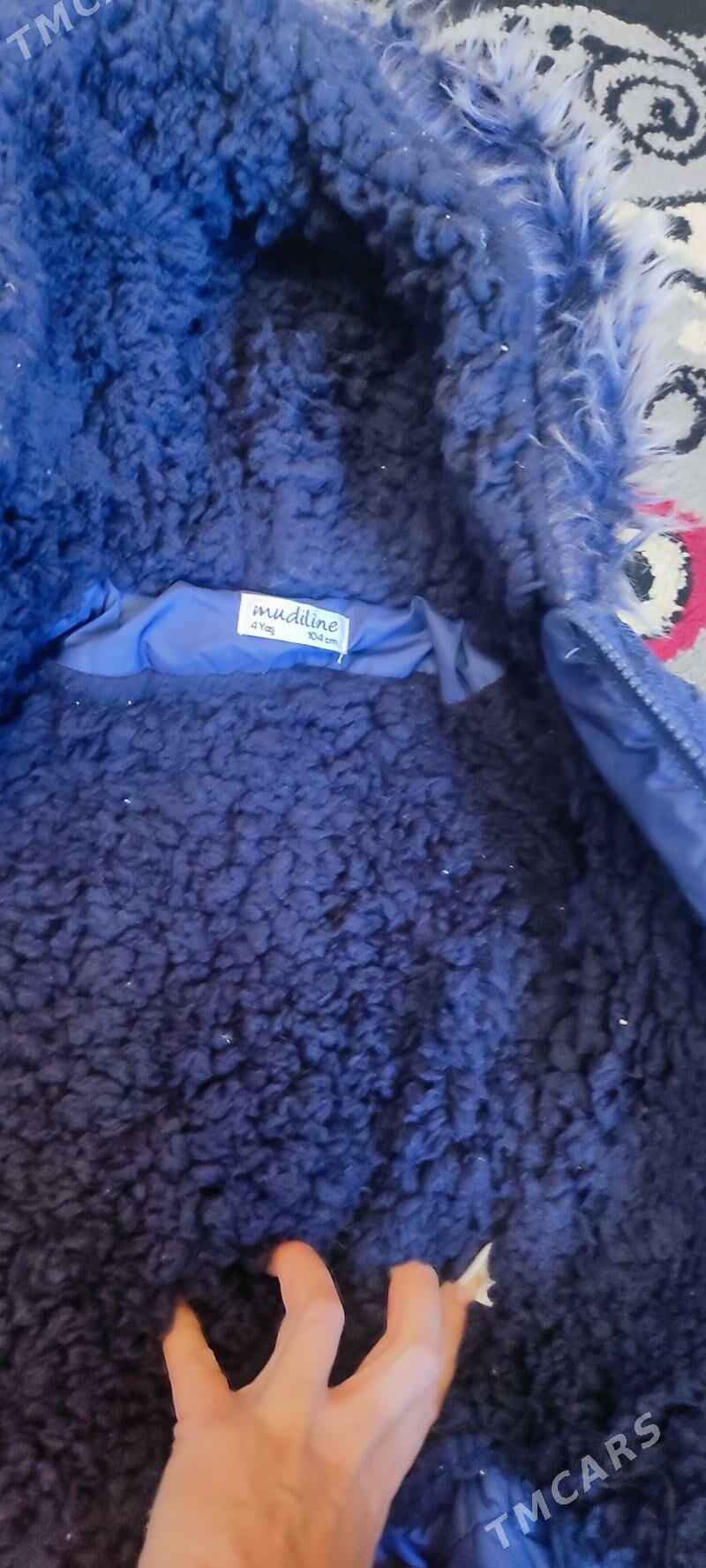 Kurtkalar - Daşoguz - img 5