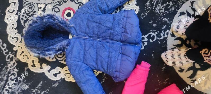 Kurtkalar - Daşoguz - img 6