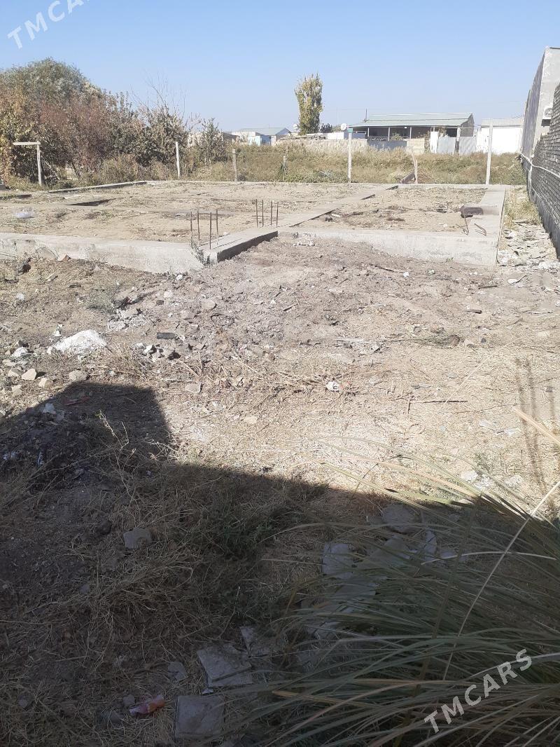 Bos mellek daca - Türkmenabat - img 3