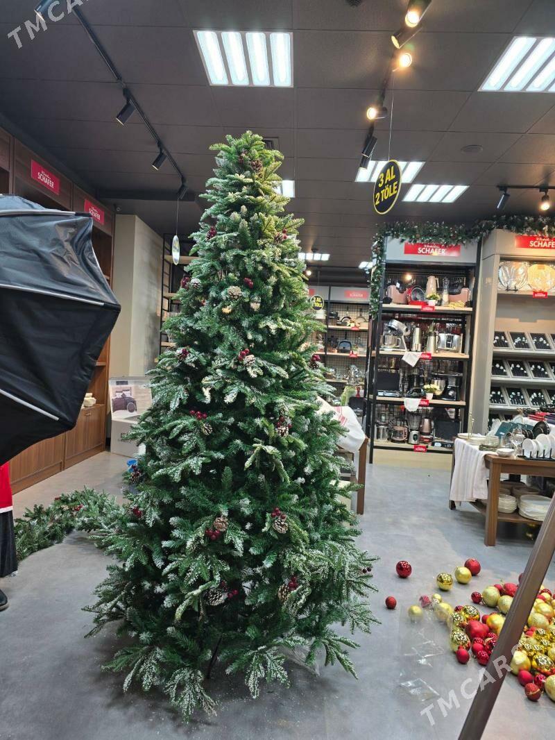 Yolka - Ашхабад - img 2