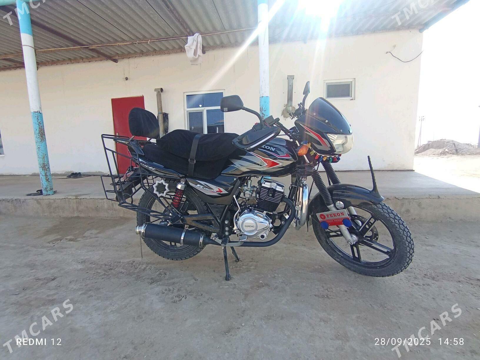 Fekon FK200-14G 2025 - 19 000 TMT - Эсенгулы - img 3