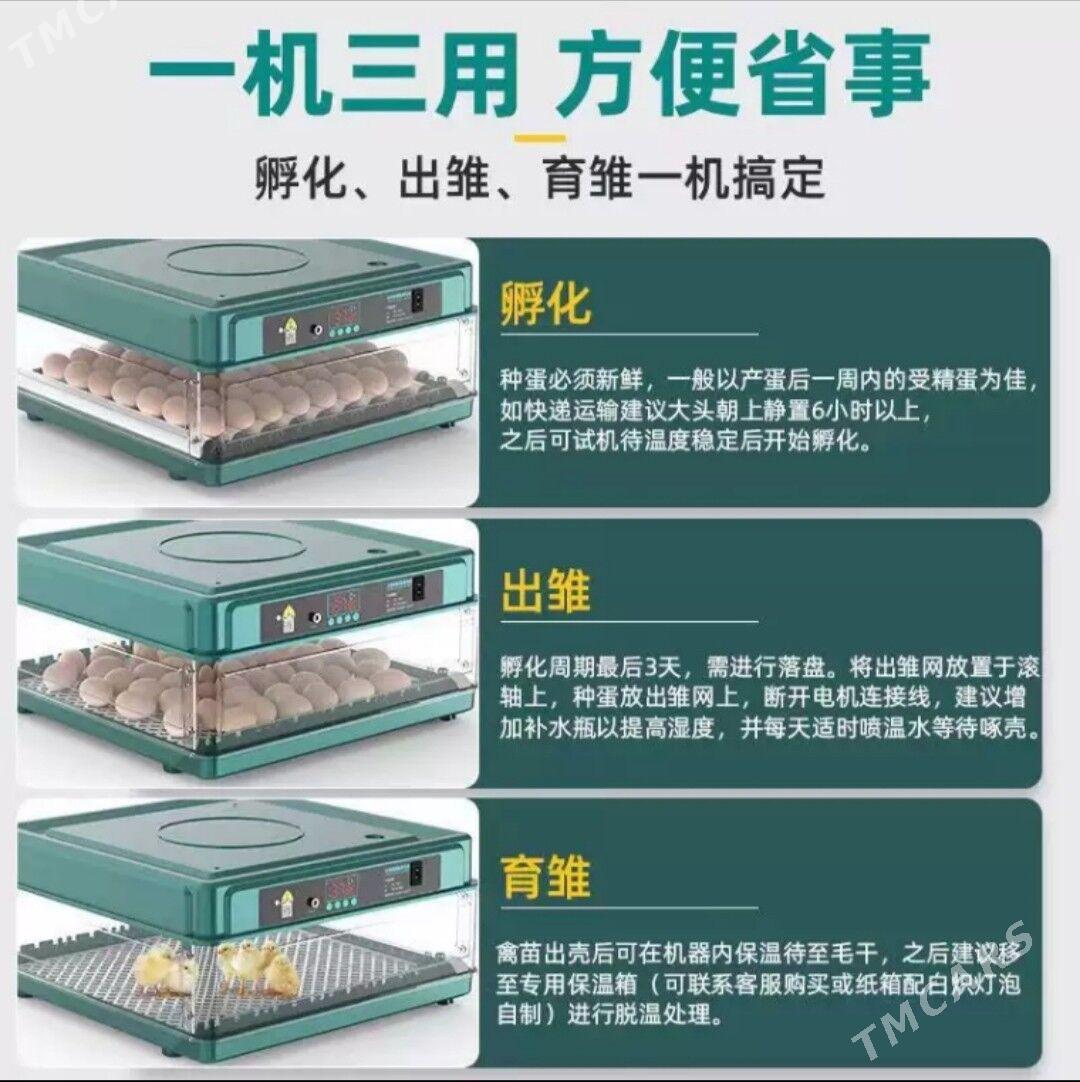 jüje inkabator - Ýalkym - img 2