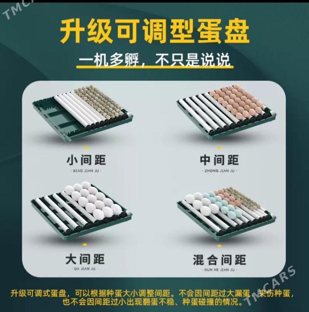 jüje inkabator - Ýalkym - img 3