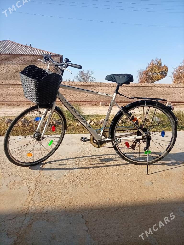 welsopet - Mary - img 1