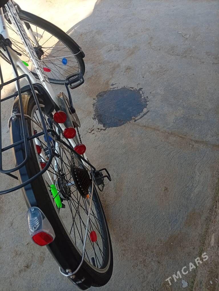 welsopet - Mary - img 9