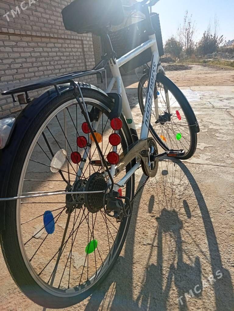 welsopet - Mary - img 5