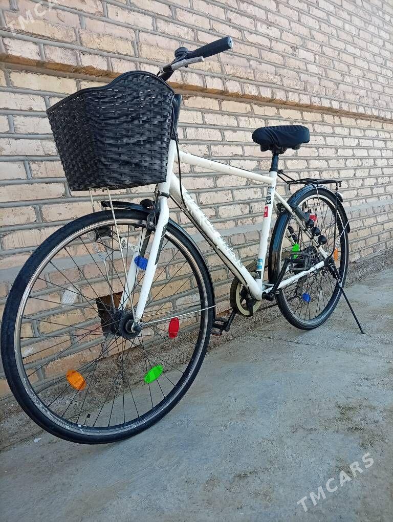 welsopet - Mary - img 6