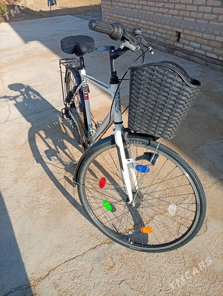 welsopet - Mary - img 3